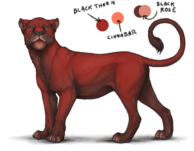 (+30) Blackthorn Markings (color) Lioden